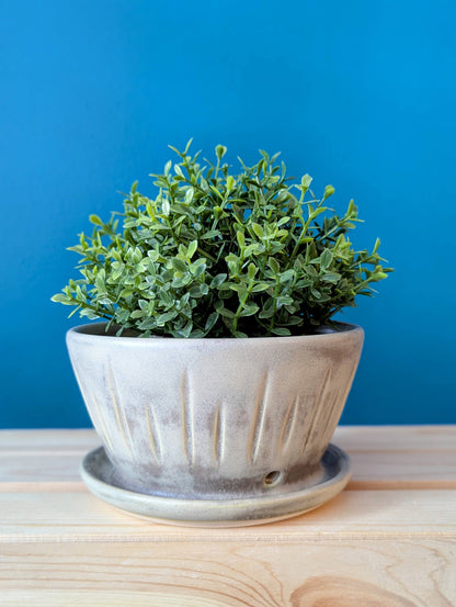 Planter