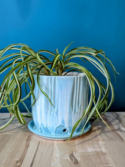 Planter