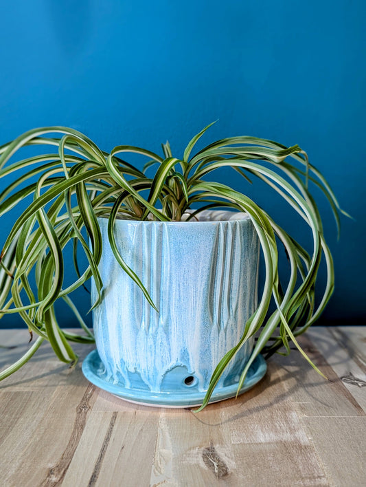 Planter